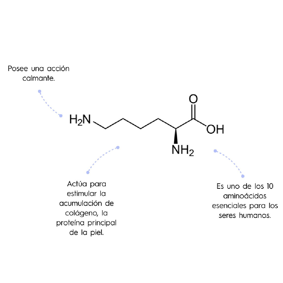 imagen de lisina biomimetic